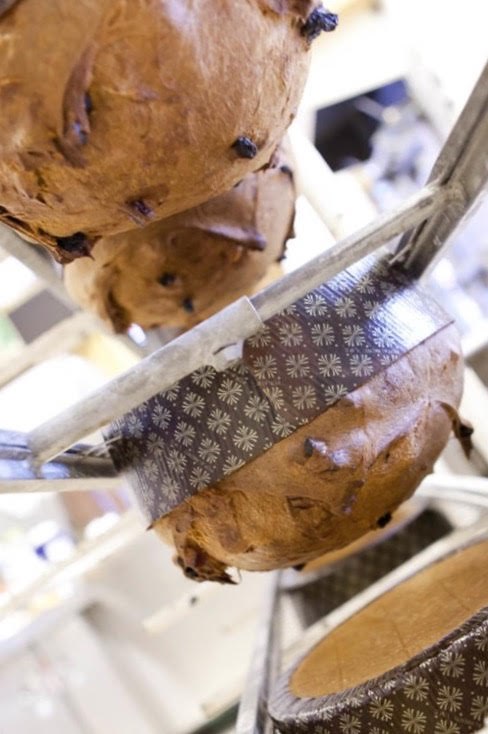 PASTICCERIA NUOVA BRIANZA - Splendida pasticceria con oltre trentacinque anni di storia, la Pasticceria Nuova Brianza si distingue per scelta delle materie prime di altissima qualità e la cura e passione nella preparazione dei dolci. Merita un plauso particolare il panettone: morbidezza, profumo e bontà unici. Da provare! Pasticceria Nuova Brianza - viale Brianza, 14 Milano