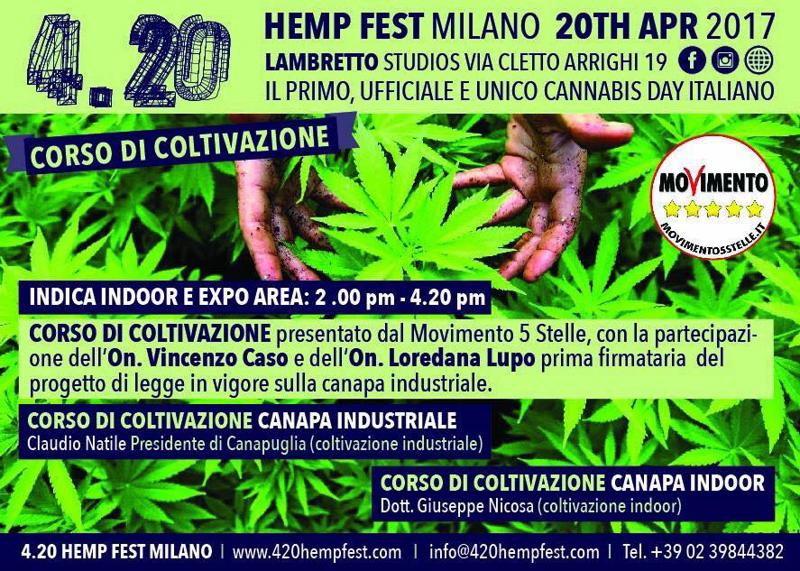 Hempfest: festival della cannabis a Milano canapa