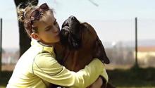 I cani sono davvero gelosi?