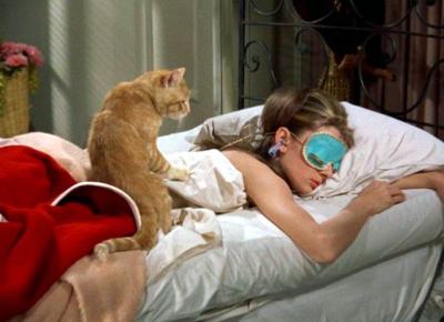 Colazione da Tiffany Gatto e Audrey Hepburn