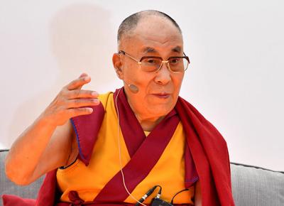 dalai lama ape dalai lama ape