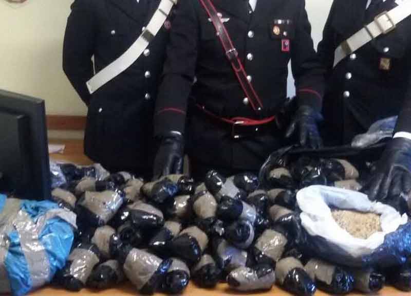 droga papaveri oppio 01