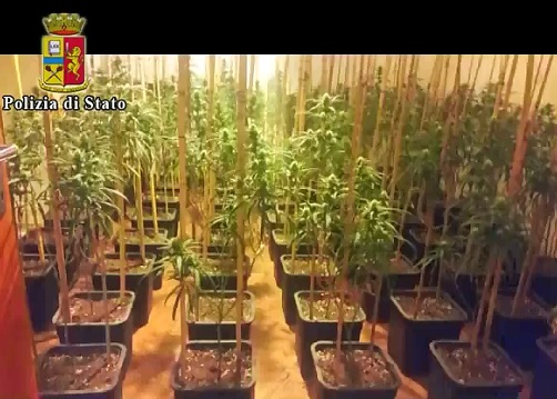 Spaccio internazionale di droga: operazione della Polizia di Stato di Brescia