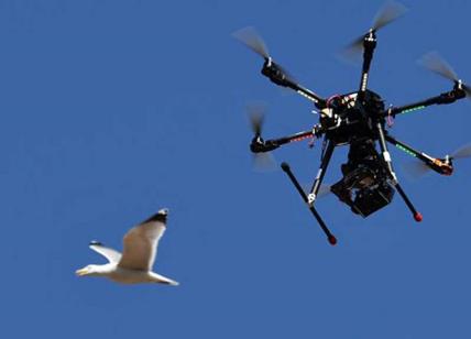 Fori Imperiali: volo col drone, denunciato dai carabinieri turista brasiliano