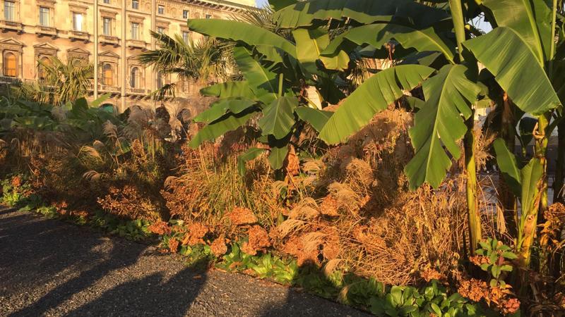 Degrado in piazza Duomo