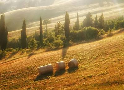 foto per lorenzo 3