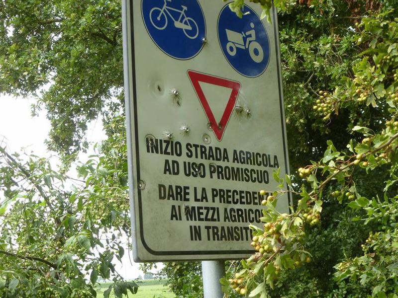 foto2