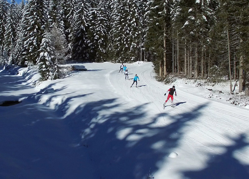 foto osttirol Langlaufen (c)BergimBild