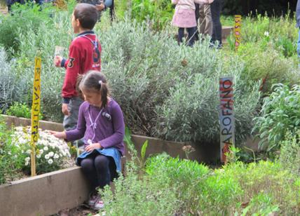 Bulbi in festa: laboratorio di giardinaggio per bambini all'Hortus Urbis