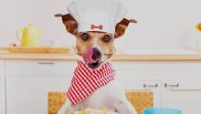 4 idee top per fare un regalo a chi adora il suo animale domestico