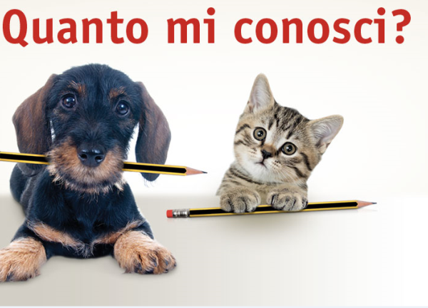 Purina lancia il concorso "Quanto mi conosci?" Tu quanto conosci il tuo pet?