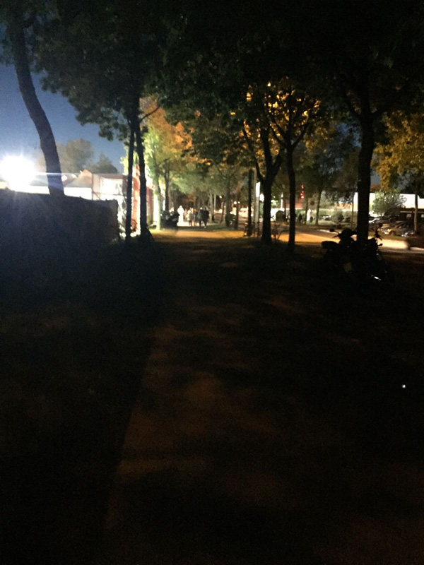 (Serata Madia) (Serata Madia)