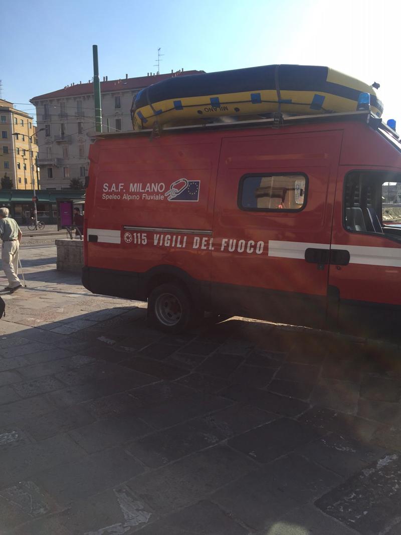 Sei anatroccoli imprigionati in una chiusa salvati dai vigili del fuoco Sei anatroccoli imprigionati in una chiusa salvati dai vigili del fuoco