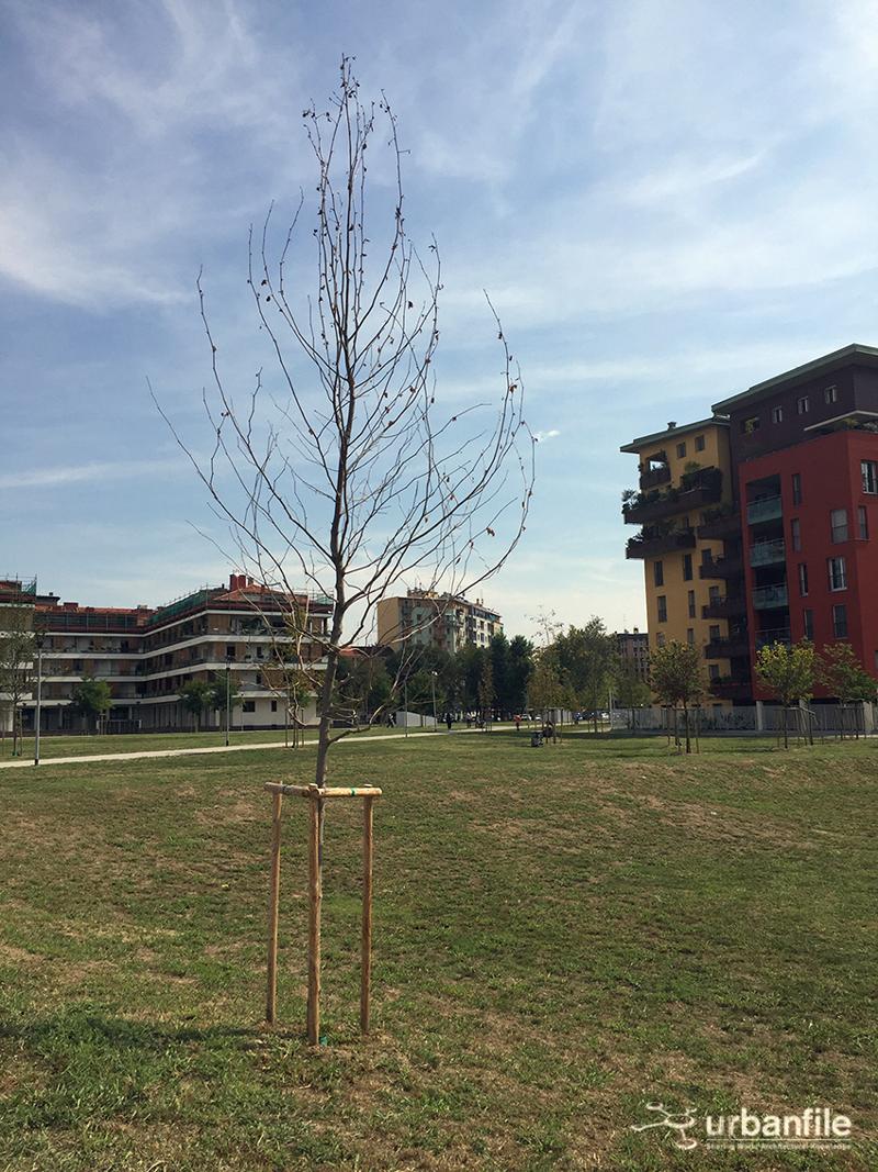 Milano, il Parco Segantini Immagine 4