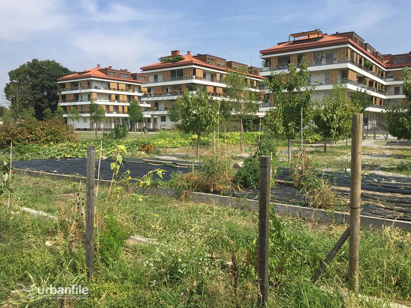Milano, il Parco Segantini Immagine 10