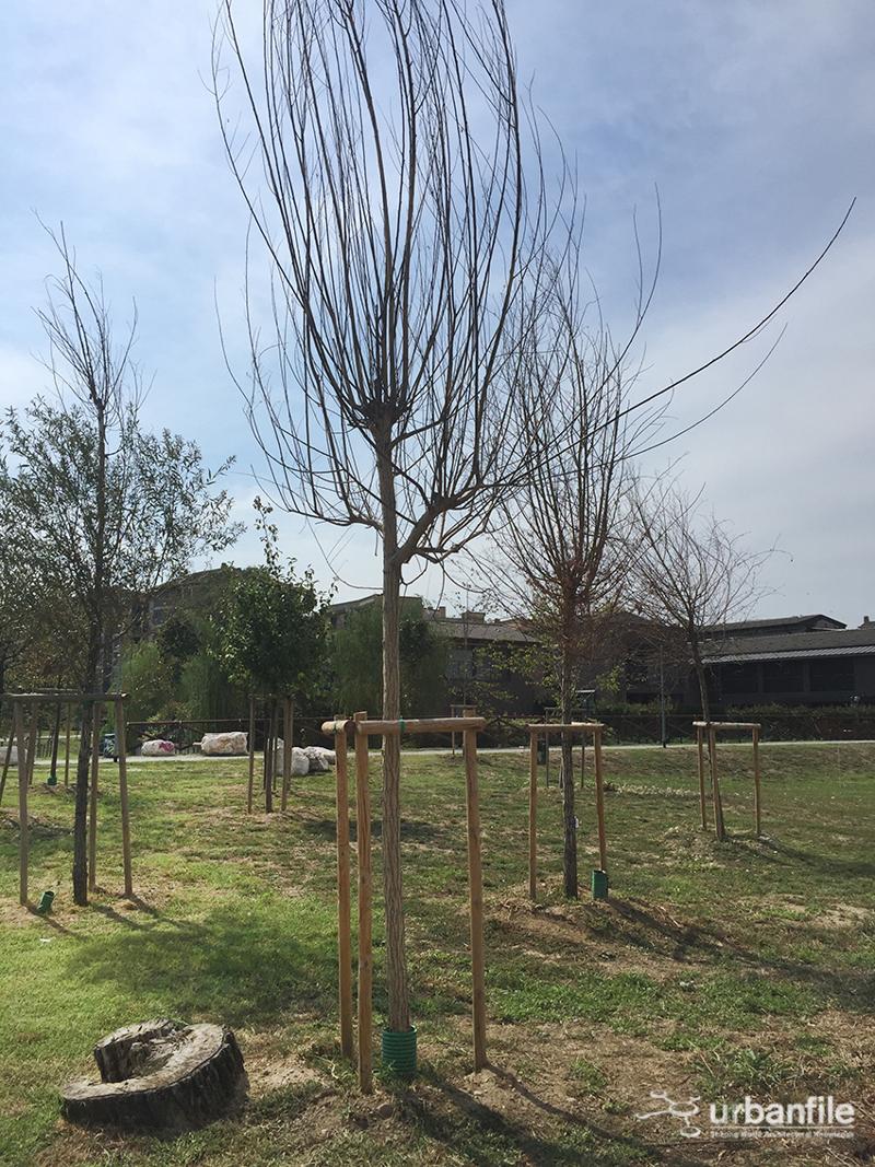 Milano, il Parco Segantini Immagine 14