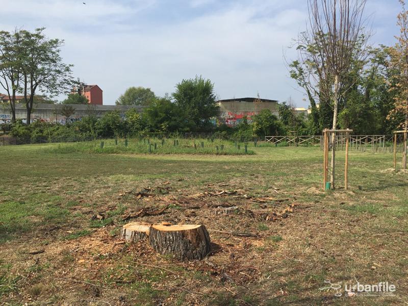 Milano, il Parco Segantini Immagine 15