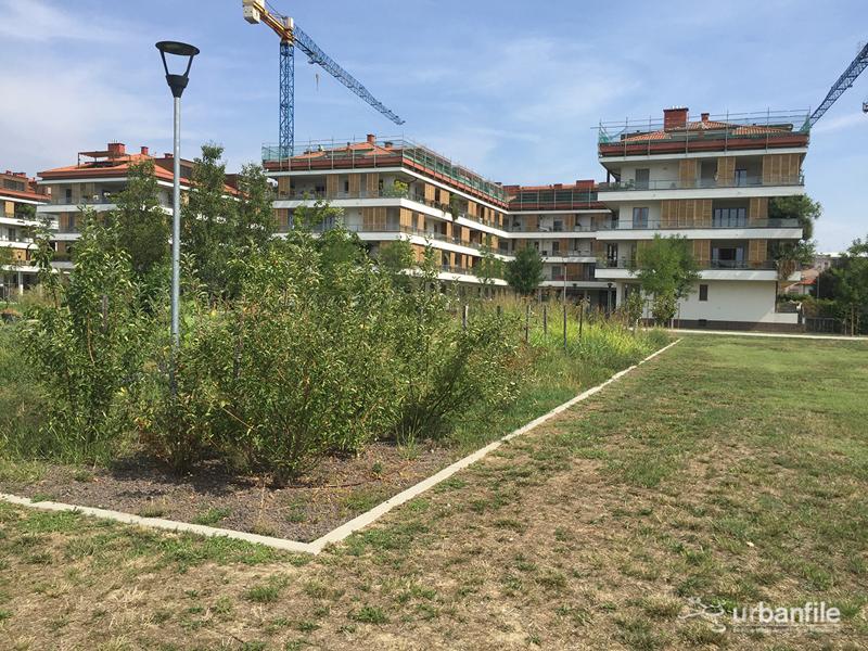 Milano, il Parco Segantini Immagine 9
