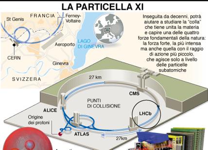 Cern scopre particella chiave che fa da 'collante' dell'universo