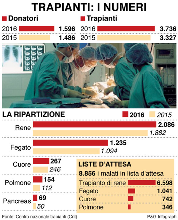 infografica trapianti numeri infografica trapianti numeri
