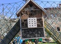 insect hotel insect hotel