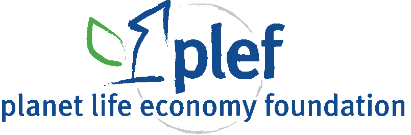 logo plef+completo