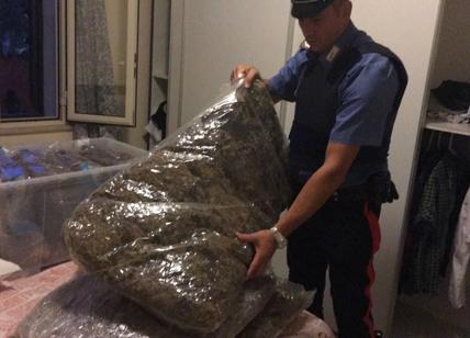 Maxi-blitz antidroga, sequestrati 322 chilogrammi di marijuana: 4 arresti