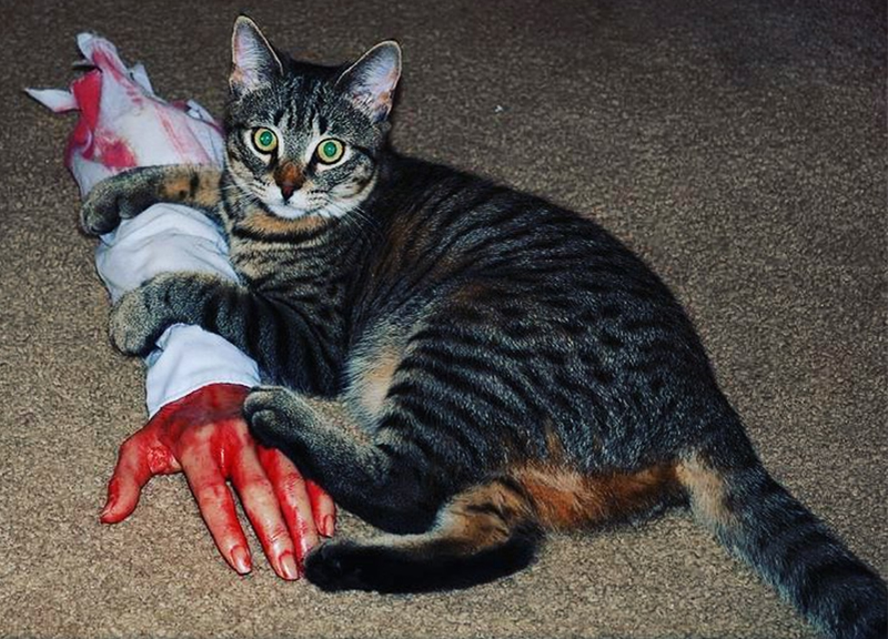 Credit: Maurizio Cattelan Instagram Credit: Maurizio Cattelan Instagram