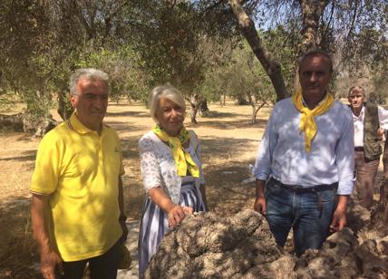 Helen Mirren e Coldiretti Lecce per salvare ulivi monumentali da xylella