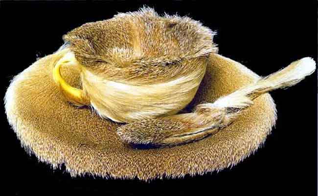 mostra Meret Oppenheim (1)