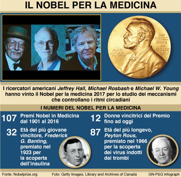 nobel medicina infografica nobel medicina infografica