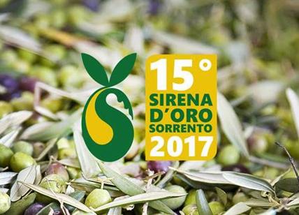 Olio di oliva extravergine, ecco il premio Sirena d'Oro