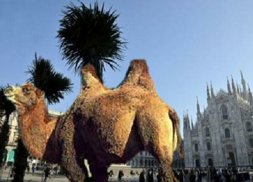 Palme in Duomo: uno dei tanti fotomontaggi che imperversano sul web