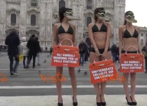 Il flash mob di Peta in piazza Duomo Il flash mob di Peta in piazza Duomo