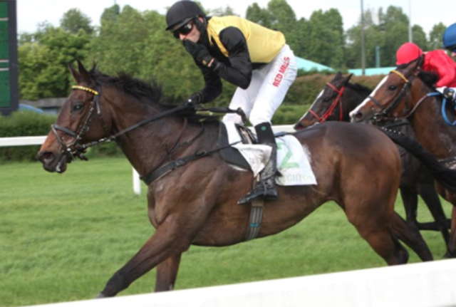 Broughton e Josef Vana vincono l'edizione 2017 del Grande Steeple Chase di Milano