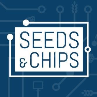seeds chips2
