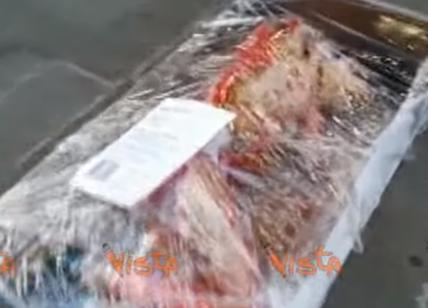 Persone impacchettate al banco della carne: provocazione ambientalista. Video