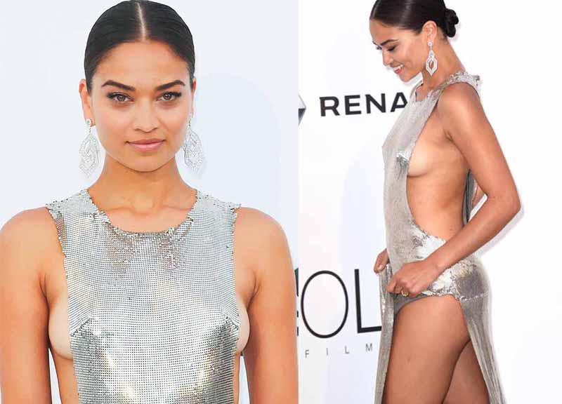 Shanina Shaik cannes ape 3