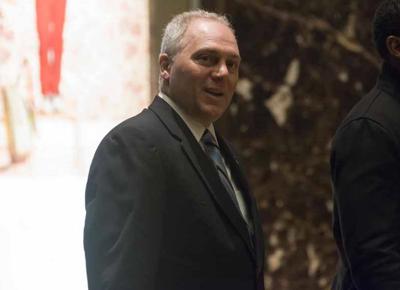 steve scalise