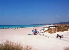 Vada, Spiagge Bianche Vada, Spiagge Bianche