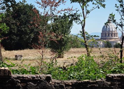 Roma, nuova bonifica a Villa Pamphilj: rimossi oltre 200 kg di amianto
