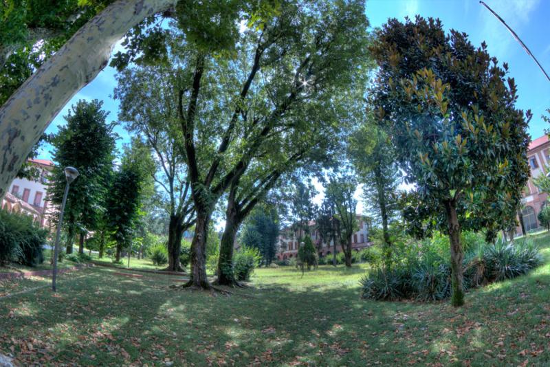 Il parco Il parco