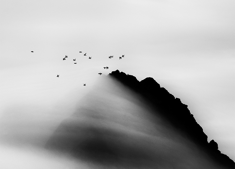 Carsten Egevang© Thule, Groenlandia, 2014