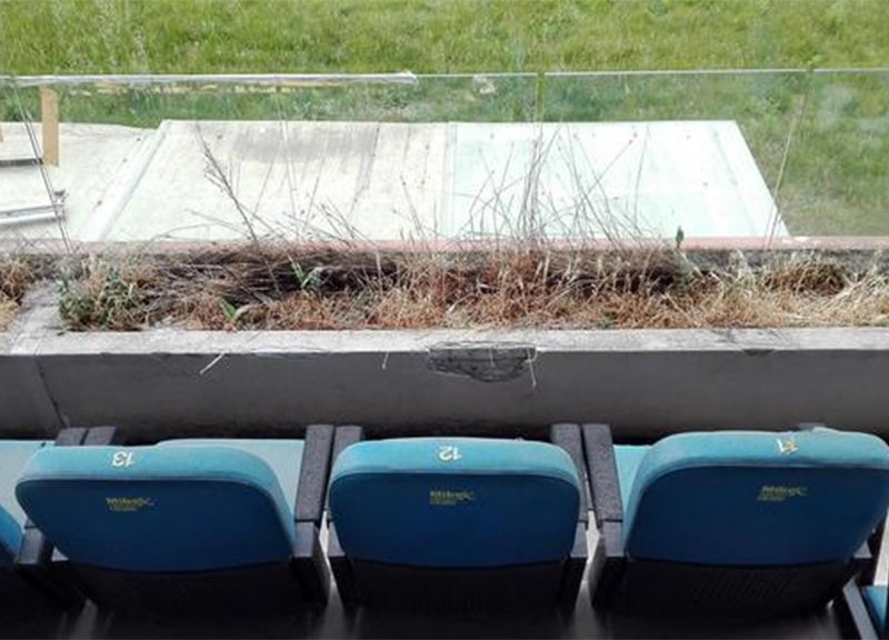 Stadio Flaminio di Roma, abbandonato dalle istituzioni da ormai sette anni. Foto di Martino Iannone Stadio Flaminio di Roma, abbandonato dalle istituzioni da ormai sette anni. Foto di Martino Iannone