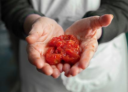 A Casa Marrazzo, nell'Agro-Nocerino-Sarnese, nasce la Scuola del Pomodoro