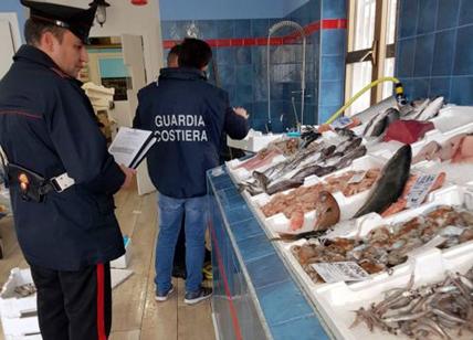 Tor Bella Monaca, sequestrati 76 kg di pesce senza etichette: maxi-multe