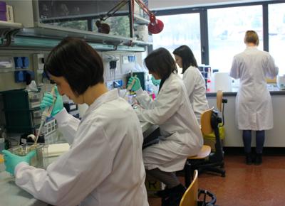 02. laboratorio Mario Negri