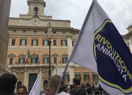 Rivoluzione animalista: nasce a Roma il primo partito a tutela degli animali