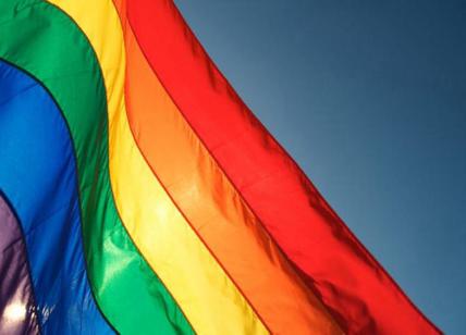 DNA e omosessualità: rivelazioni sul "gene gay" e l'orientamento sessuale