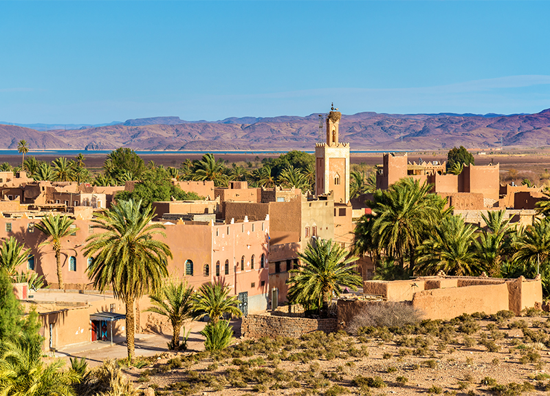 booking ape Ouarzazate, Morocco